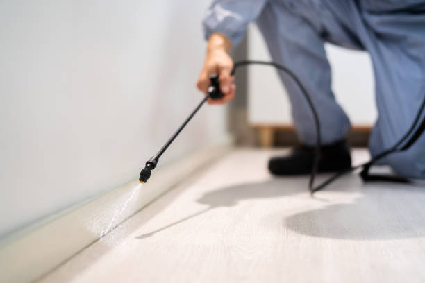 Licensed Pest Control service in Ferndale, WA - Show Me Pest Control