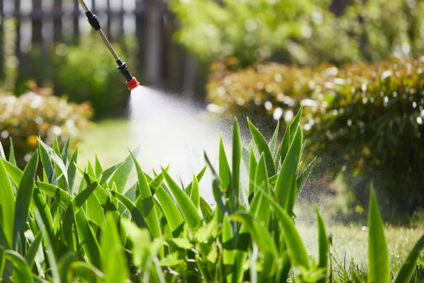 24/7 Emergency Mosquito Control experts in Ferndale, WA