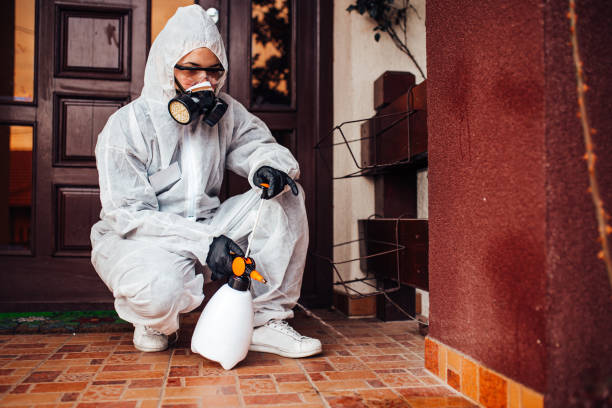 Reliable Mosquito Control contractor in Ferndale, WA by Show Me Pest Control